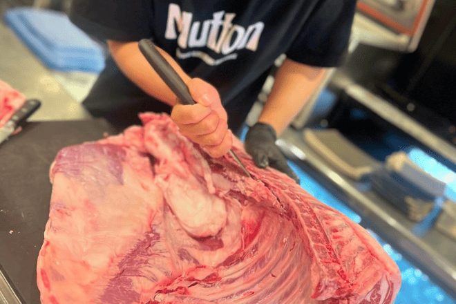 お肉イメージ
